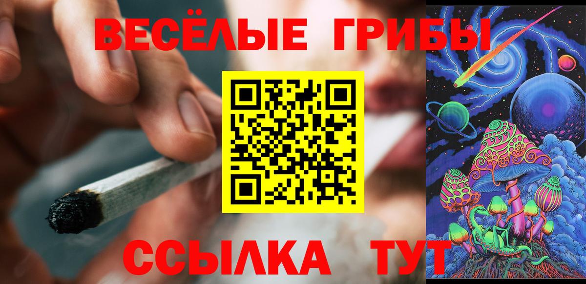 Орехово-Зуево  Галлюциногенные грибы Cubensis  Вход с VPN 