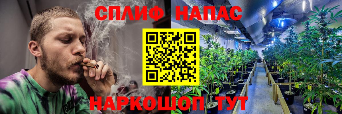 Конопля White Widow Орехово-Зуево